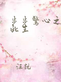 步步惊心之禛曦此生