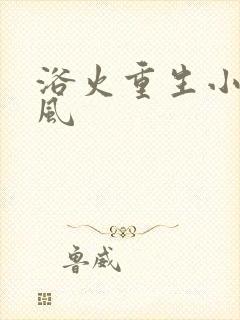 浴火重生小说陈风