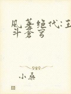 风华绝代:王妃斗苍穹