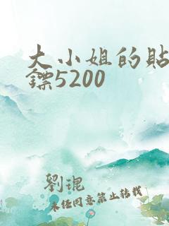 大小姐的贴身保镖5200