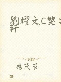 刘耀文C哭宋亚轩