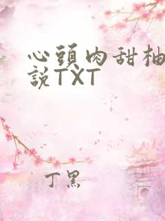 心头肉甜柚子小说TXT