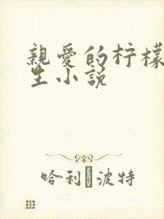 亲爱的柠檬精先生小说