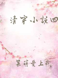清穿小说四四
