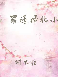 罗通扫北小说