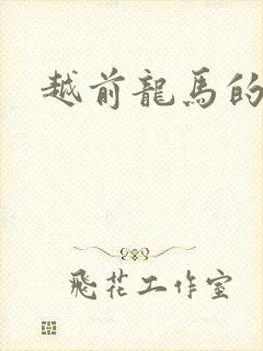 越前龙马的小说