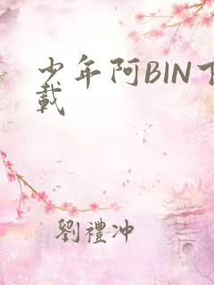 少年阿BIN下载