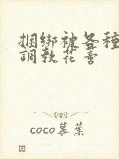 捆绑被各种工具调教花蒂