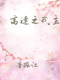 高达之我主沉浮