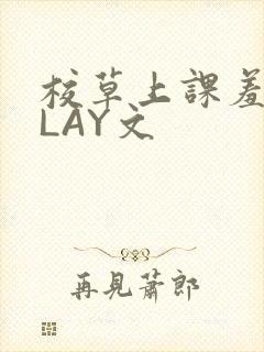 校草上课羞耻PLAY文