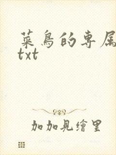 菜鸟的专属大神txt