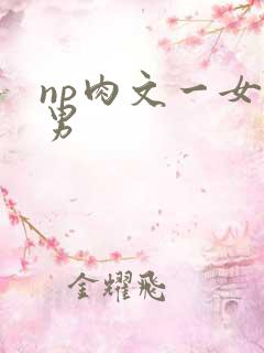 np肉文一女多男