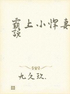 霸上小悍妻 小说