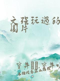 文强玩过的女人图片