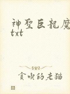 神圣巨龙魔法师txt