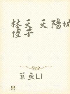 林天 天阳城 傻子