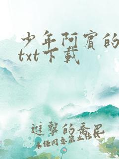 少年阿宾的故事txt下载