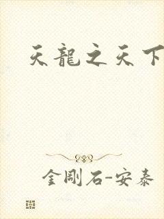 天龙之天下有我