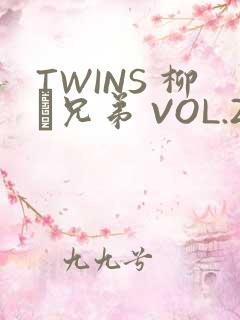 TWINS 柳澤兄弟 VOL.2