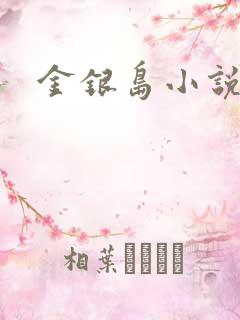 金银岛小说