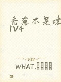 秃崽不是坏女人1V4