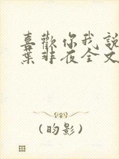 喜欢你我说了算叶非夜全文免费阅读