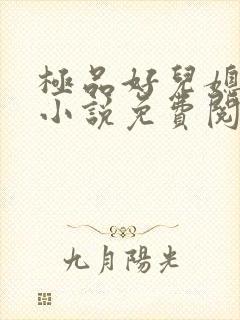 极品好儿媳苏灿小说免费阅读