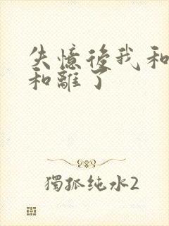 失忆后我和王爷和离了