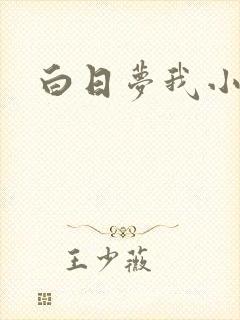 白日梦我小说