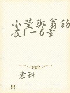 小莹与翁的销魂夜1一6章