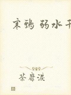 寒鸦 弱水千流