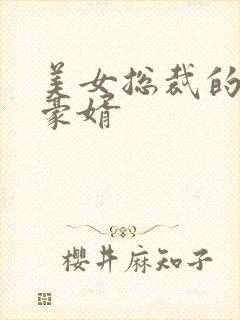 美女总裁的顶级豪婿