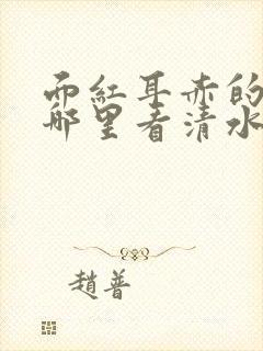 面红耳赤的小说哪里看清水村花