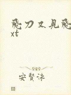 飞刀又见飞刀txt