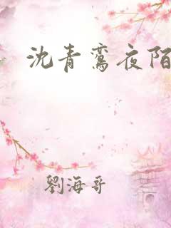 沈青鸾夜陌凌