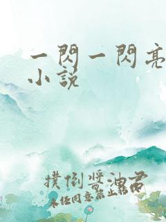 一闪一闪亮晶晶小说