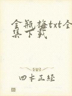 金瓶梅txt全集下载