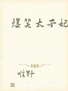 爆笑太子妃