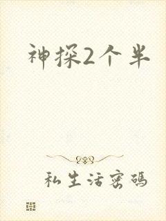 神探2个半