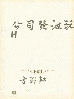 公司发泄玩具lH