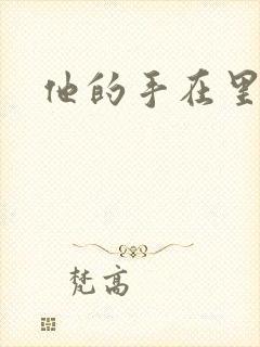 他的手在里面动