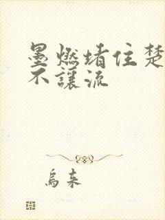 墨燃堵住楚晚宁不让流