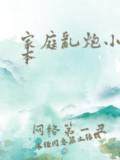 家庭乱炮小说全本