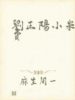 刘正阳小米多免费