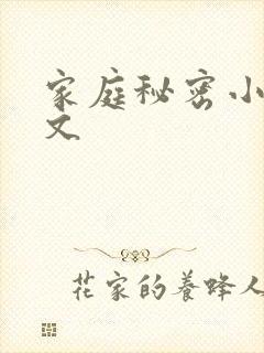 家庭秘密小说全文