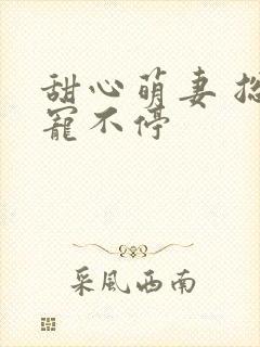 甜心萌妻 总裁宠不停