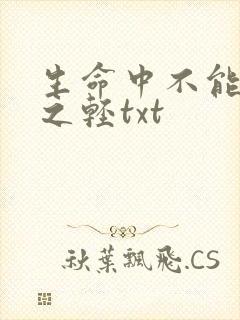 生命中不能承受之轻txt