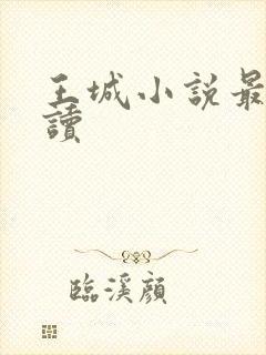 王城小说最近阅读