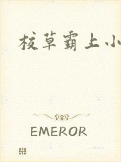 校草霸上小丫头