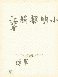 江照黎明小说原著